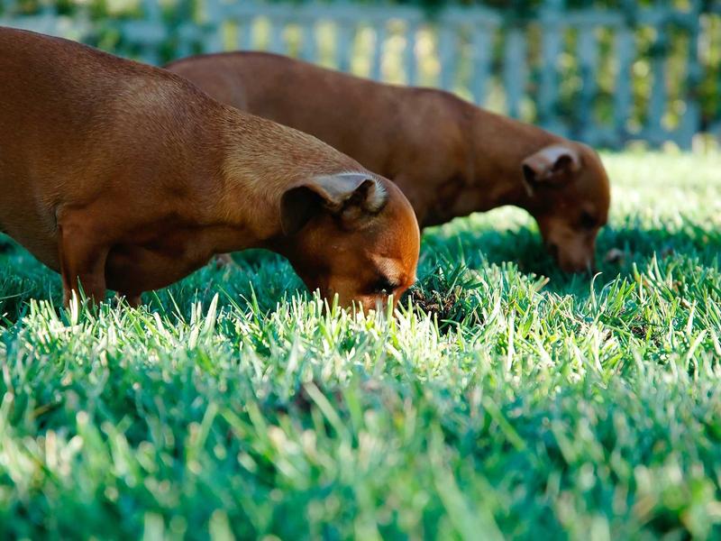 sudoku smart puzzle screenshot 4